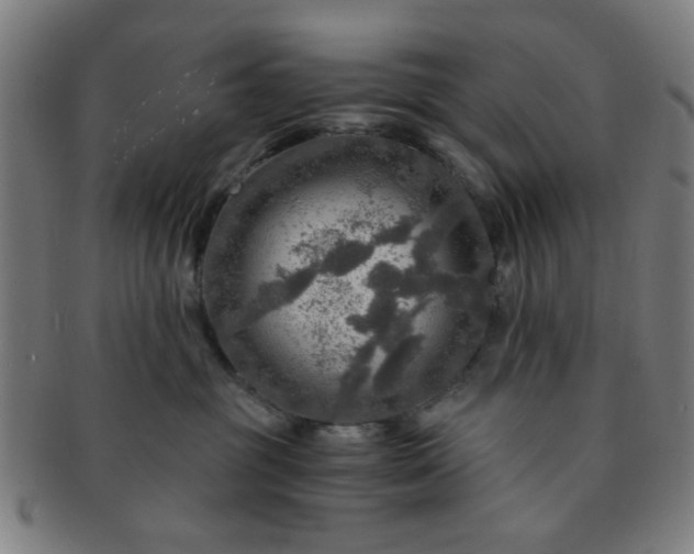 X0000091360381200708241316