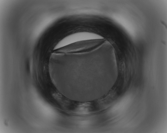 X0000091360382200708241316