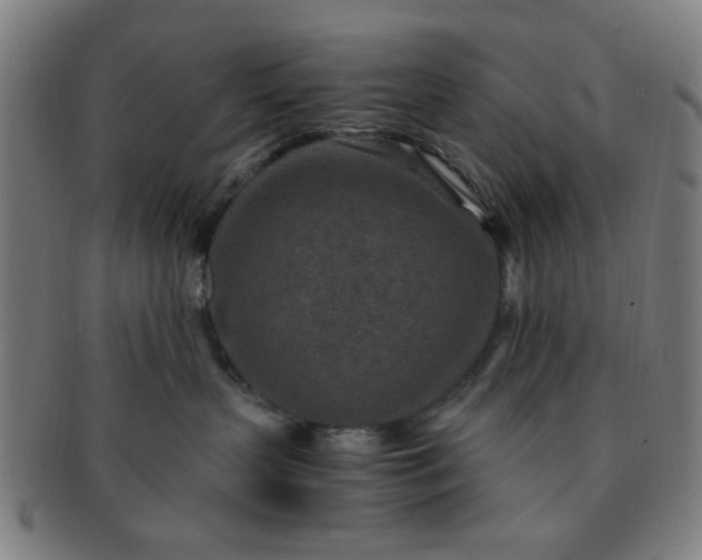 X0000091360383200708241316