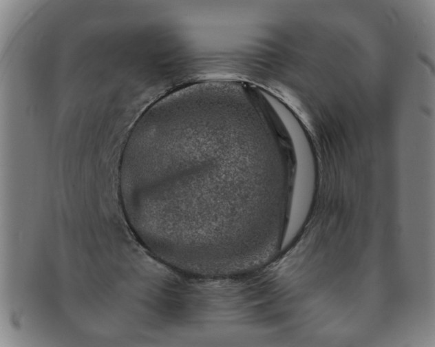 X0000091360385200708241315