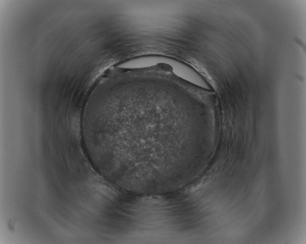 X0000091360386200708241315