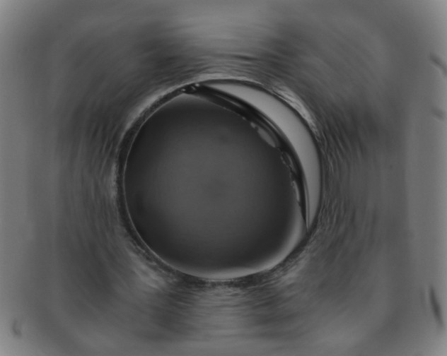 X0000091360387200708241315