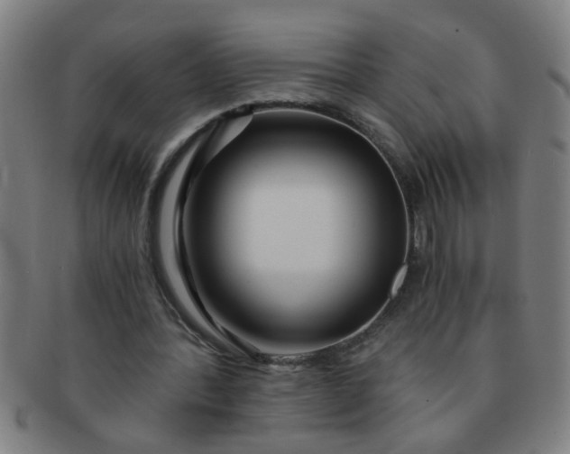 X0000091360388200708241315