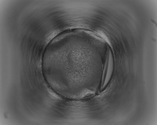 X0000091360389200708241315