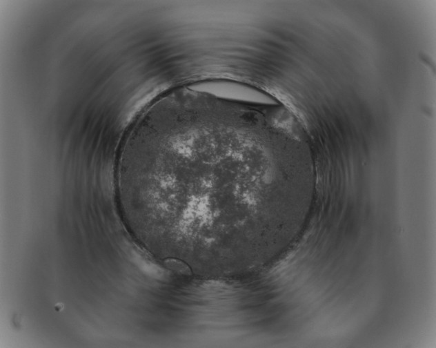 X0000091360390200708241315