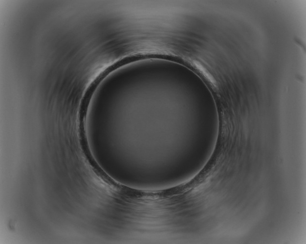 X0000091360391200708241315