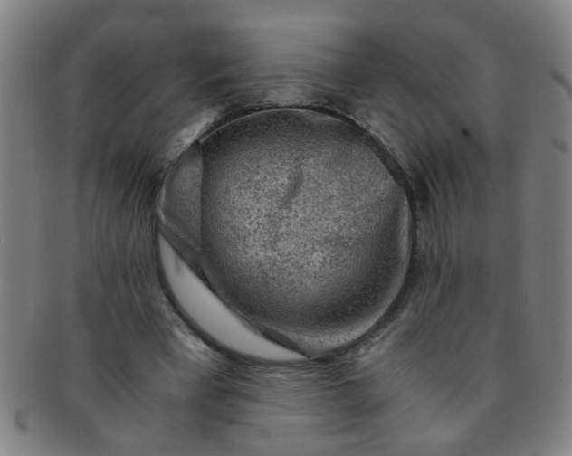 X0000091360393200708241315