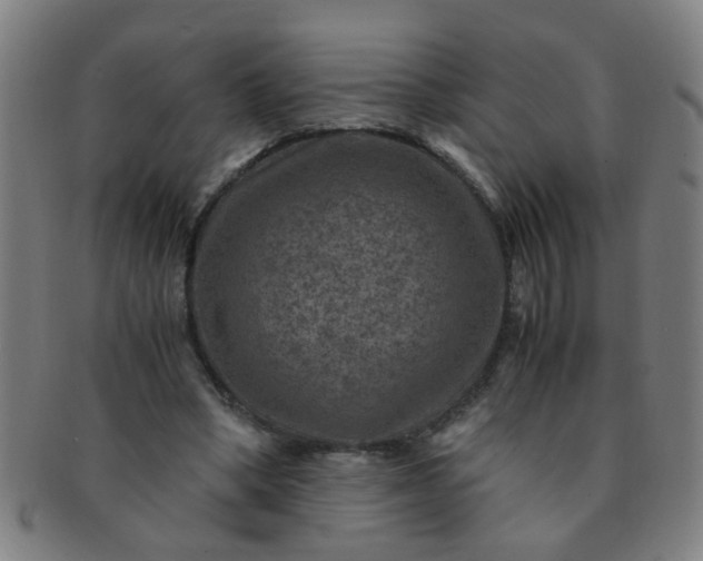 X0000091360394200708241315