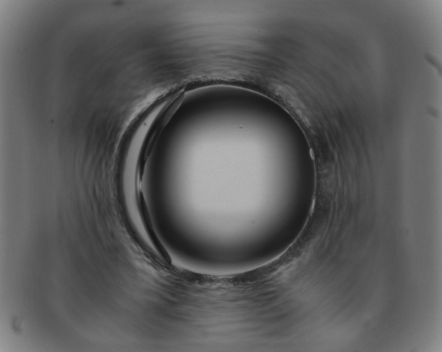 X0000091360395200708241315