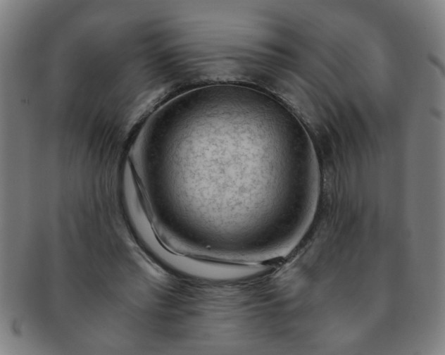 X0000091360397200708241315