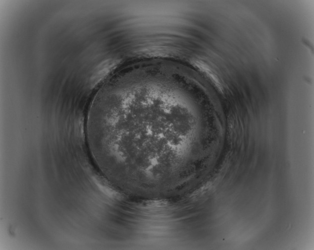 X0000091360398200708241315