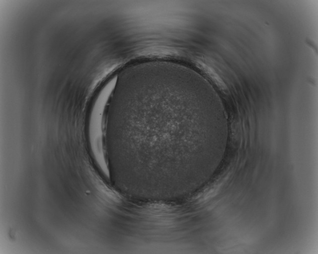 X0000091360399200708241315
