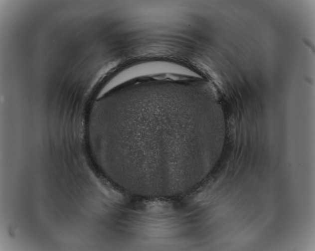 X0000091360400200708241315