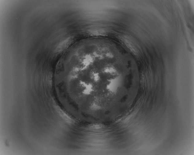 X0000091360402200708241315