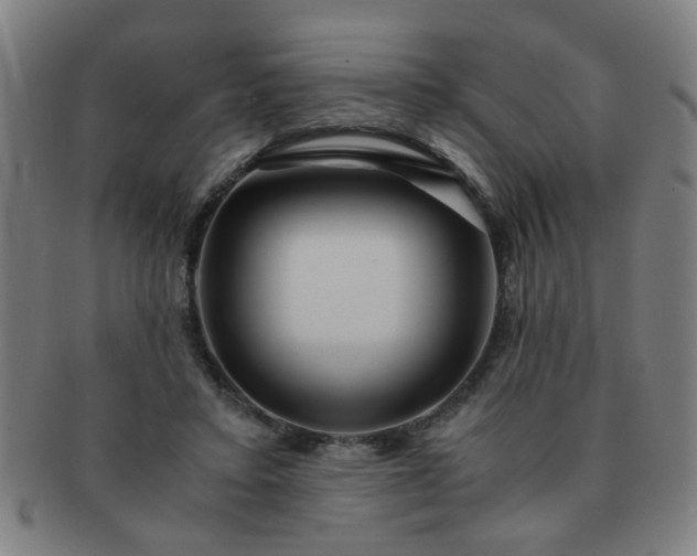 X0000091360403200708241315