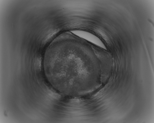 X0000091360404200708241315