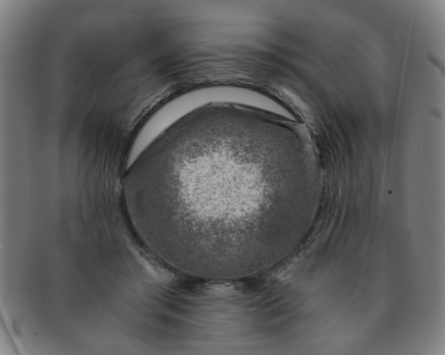X0000091360405200708241315