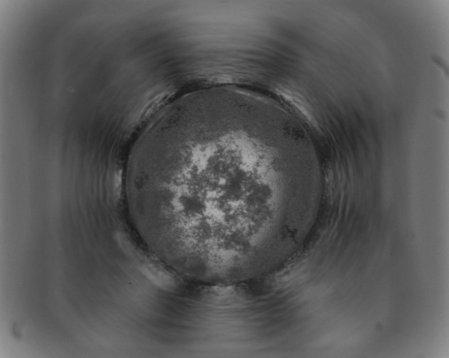 X0000091360406200708241315