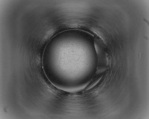X0000091360407200708241315