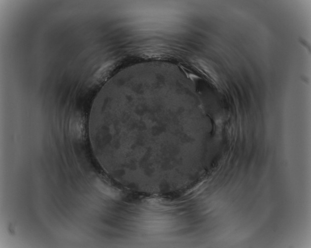 X0000091360408200708241315