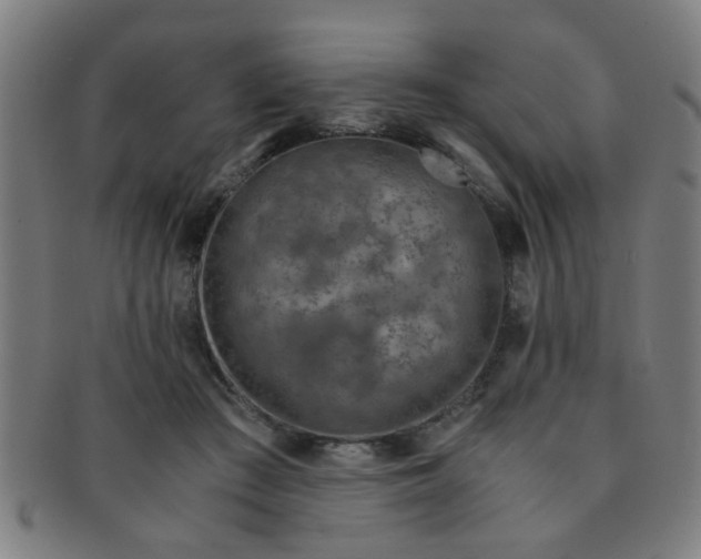 X0000091360409200708241315