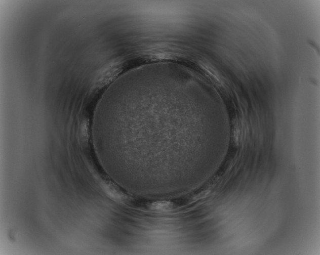 X0000091360410200708241315