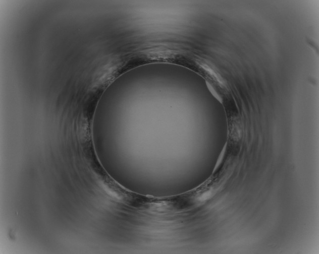 X0000091360411200708241315