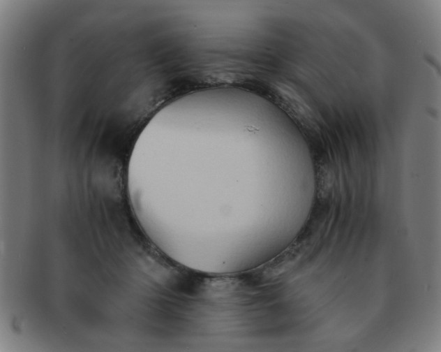 X0000091360414200708241315