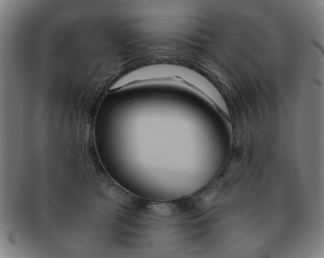 X0000091360417200708241315