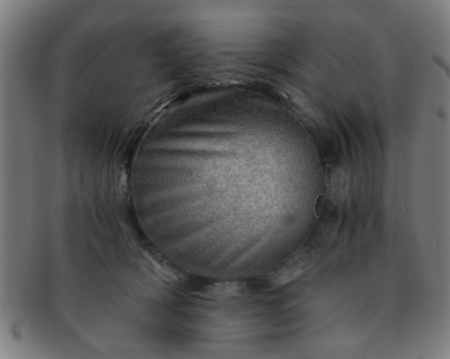 X0000091360418200708241315