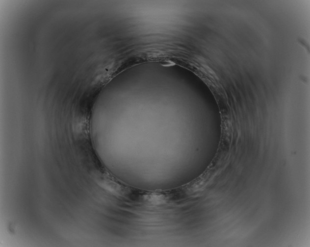 X0000091360419200708241315