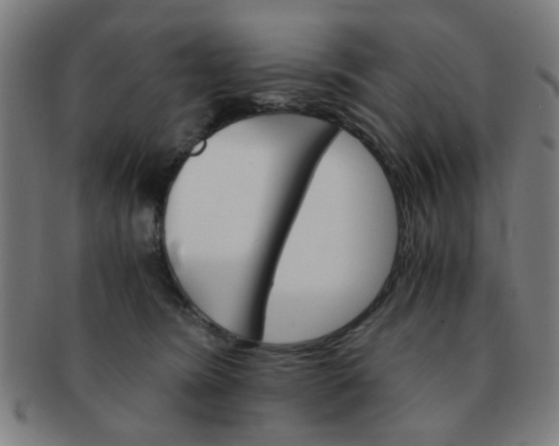 X0000091360420200708241314