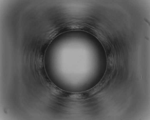 X0000091360422200708241314