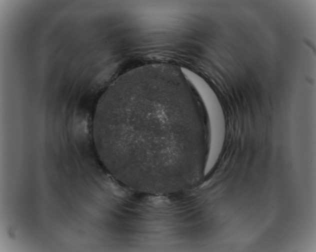 X0000091360424200708241314