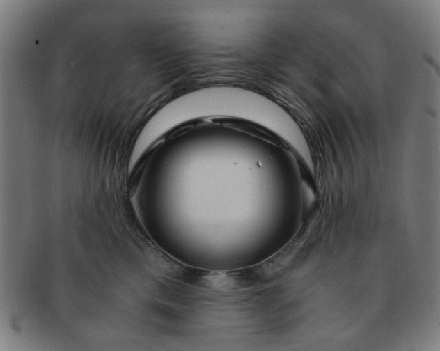 X0000091360425200708241314