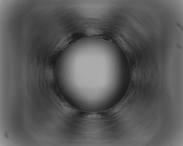 X0000091360426200708241314