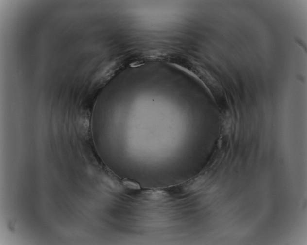X0000091360427200708241314
