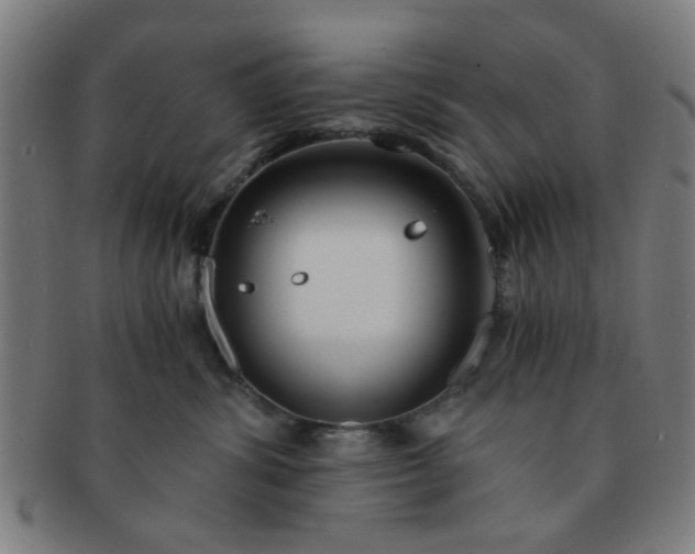 X0000091360428200708241314