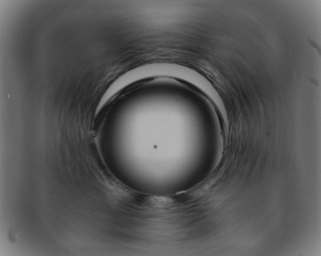 X0000091360429200708241314
