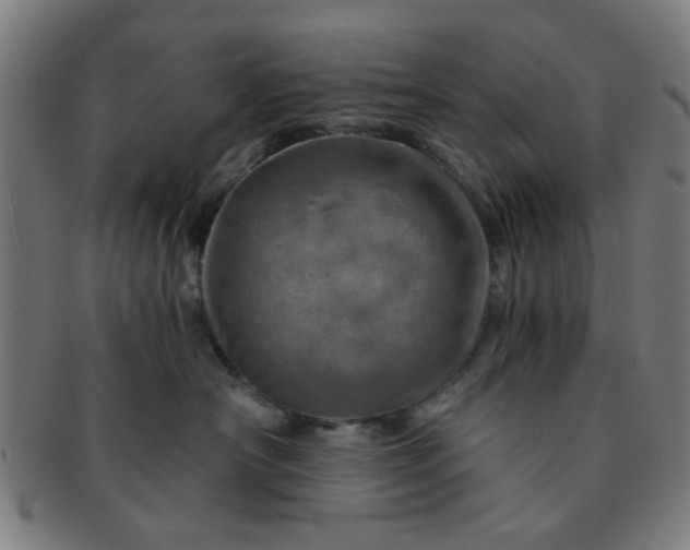 X0000091360430200708241314