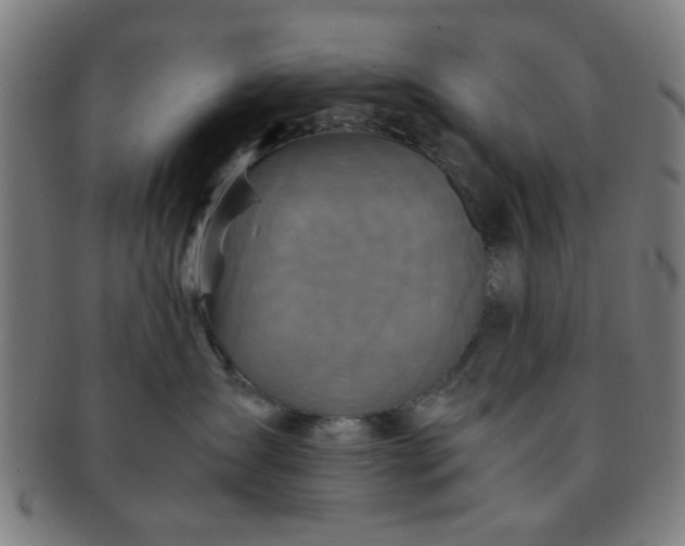 X0000091360431200708241314