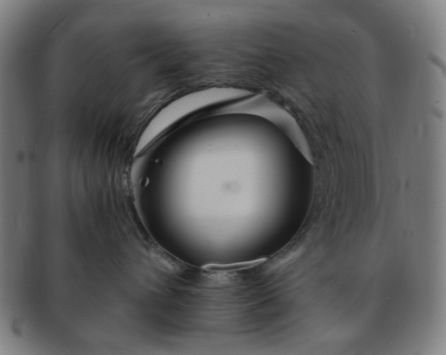 X0000091360432200708241314