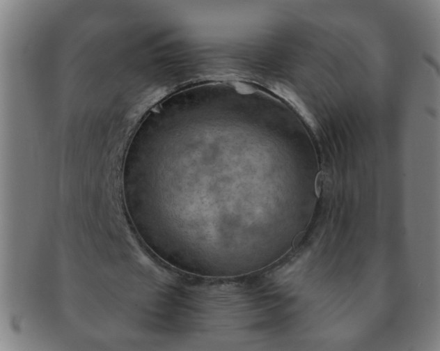 X0000091360433200708241314