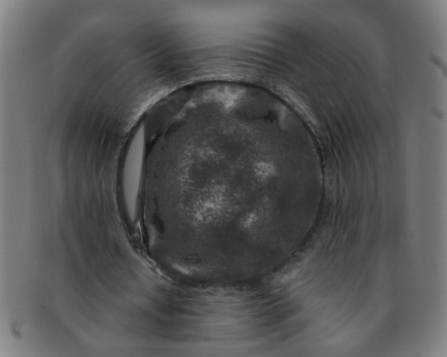 X0000091360434200708241314
