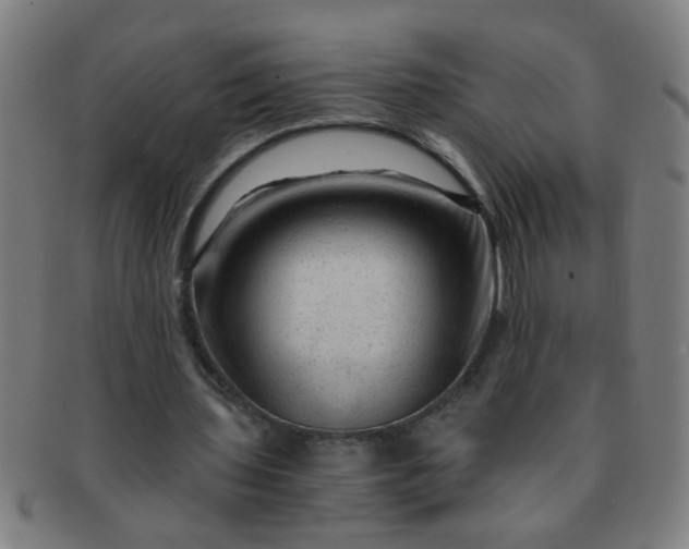 X0000091360435200708241314