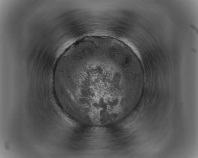 X0000091360437200708241314