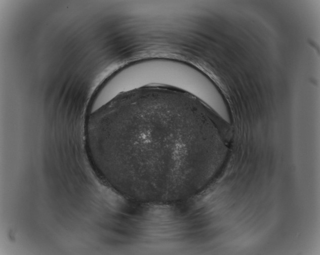 X0000091360438200708241314