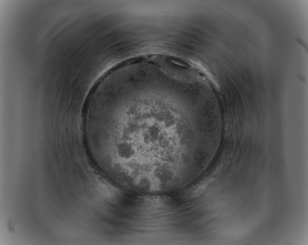 X0000091360439200708241314