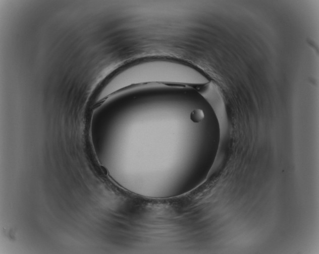 X0000091360440200708241314