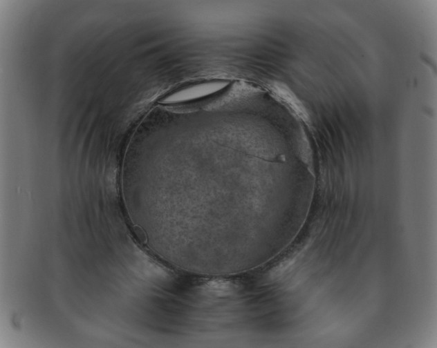 X0000091360441200708241314